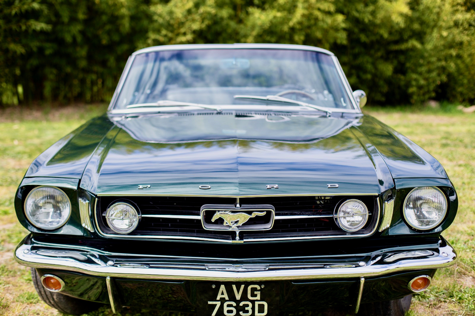 A view of the Provence Classics 1966 Ford Mustang