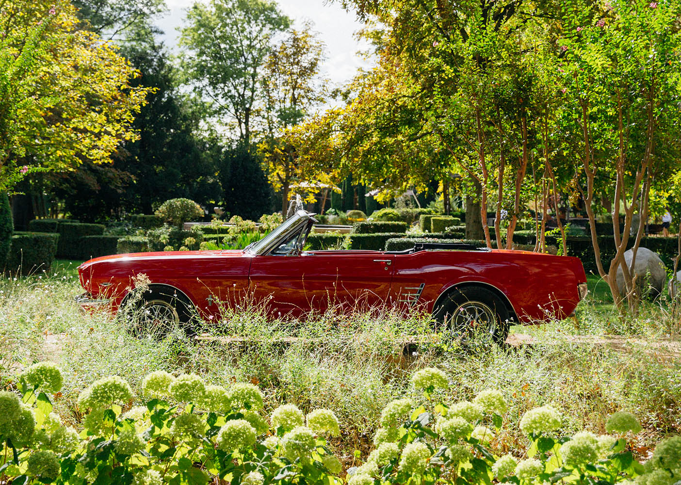 A professional photograph of the vehicles on offer at Provence Classics, for rental in the south of France.