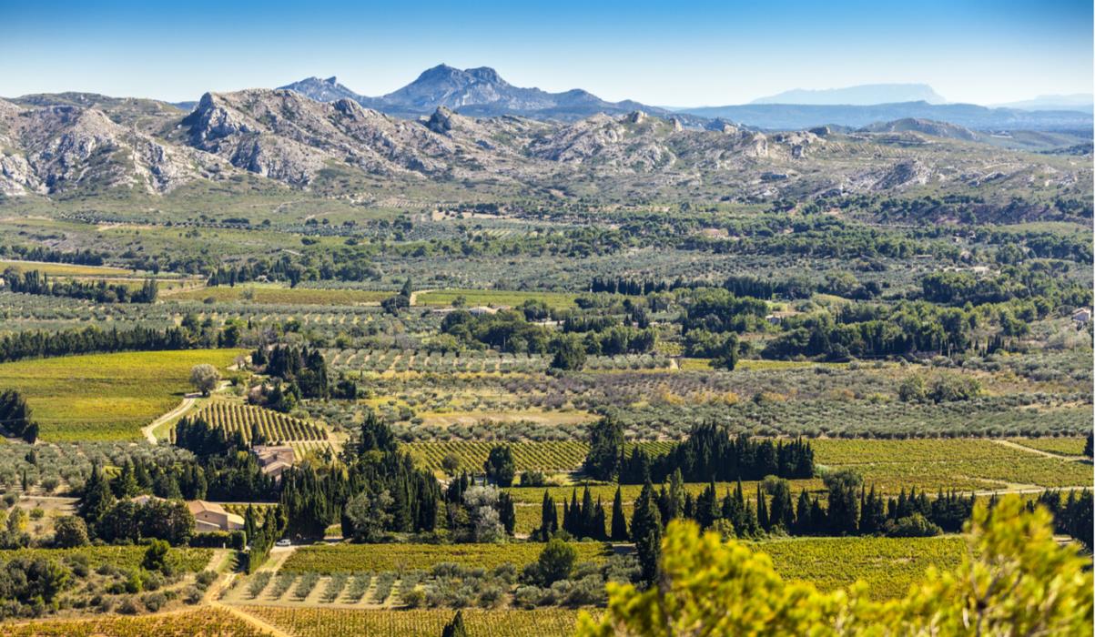 Alpilles Self-Drive Tour